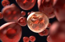 «Καμπανάκι» ΠΟΥ για τον αντίκτυπο της πανδημίας στις θεραπείες για τον καρκίνο 