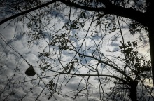 Βροχή - συννεφιά