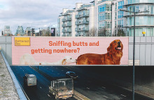 Η παραμυθένια ζωή του τετράποδου Σταύρου