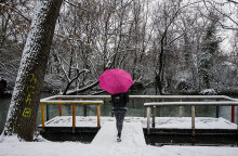 Κακοκαιρία «Μήδεια»: Στα λευκά η Δράμα, με τη χιονόπτωση να είναι έντονη  κατά διαστήματα