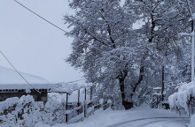 ΧΙΟΝΟΠΤΩΣΗ ΣΤΟ Ν. ΦΘΙΩΤΙΔΑΣ