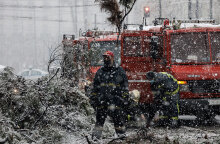 Κακοκαιρία «Μήδεια»: Πυροσβέστες κόβουν πεσμένο δέντρο στη Βασιλίσσης Σοφίας εν μέσω χιονόπτωσης