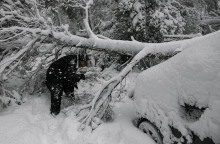 ΚΑΚΟΚΑΙΡΙΑ "ΜΗΔΕΙΑ" / ΧΙΟΝΟΠΤΩΣΗ ΣΤΟΝ ΔΙΟΝΥΣΟ