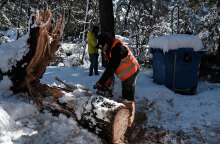 Κακοκαιρία «Μήδεια»: Κοπή πεσμένου δέντρου στον χιονισμένο Διόνυσο