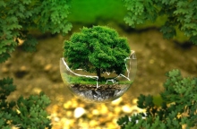 Ευρωπαϊκό πρόγραμα LIFE