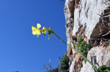 ΑΡΓΟΛΙΔΑ - ΚΑΙΡΟΣ