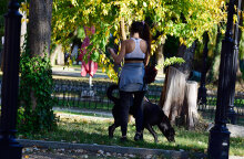 Βόλτα με κατοικίδιο εν μέσω lockdown: Μόνο πεζή ή με ποδήλατο από την Πέμπτη 4 Μαρτίου 2021 σε όλη την Ελλάδα, ανακοίνωσε ο Νίκος Χαρδαλιάς