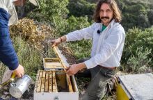 Παναγιώτης Μουρίκης, ένας ευτυχισμένος νομάς μελισσοκόμος 