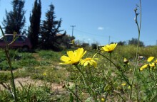 Ανοιξιάτικος ο καιρός σήμερα