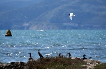 Καιρός - Καλοκαιρία 