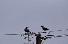 Ζέστη και αφρικανική σκόνη είχε ο καιρός σήμερα Κυριακή 4 Απριλίου 2021
