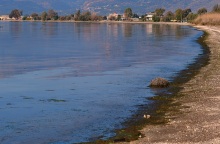 ΚΟΚΚΙΝΙΣΕ Η ΘΑΛΑΣΣΑ ΣΤΟ ΝΑΥΠΛΙΟ	