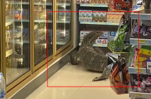 Η τεράστια σαύρα σε σούπερ μάρκετ στην Ταϊλάνδη