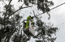 Καισαριανή: Συνεργεία καθαρίζουν από τα χιόνια καλώδια της ΔΕΗ στην πρόσφατη κακοκαιρία «Μήδεια»