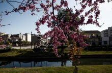  Ηλιοφάνεια στην Αττική 