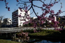 Ανοιξιάτικος καιρός