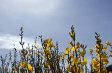 Ανοιξιάτικο στιγμιότυπο