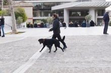 Βασίλης Χαραλαμπόπουλος