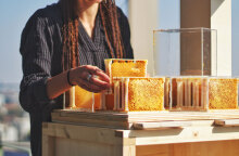 Κοπέλα κρατάει κερήθρα μελισσών