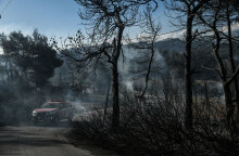 Φωτιά στην Κορινθία - Στάχτη και αποκαΐδια στο Αλεποχώρι