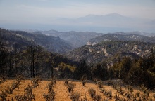 ΠΥΡΚΑΓΙΑ ΣΕ ΔΑΣΙΚΗ ΕΚΤΑΣΗ ΣΤΗΝ ΚΟΡΙΝΘΙΑ