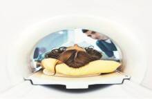 30 Μαΐου - Παγκόσμια Ημέρα Πολλαπλής Σκλήρυνσης