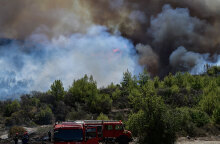 Δασική πυρκαγιά (ΦΩΤΟ ΑΡΧΕΙΟΥ)