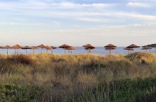 Ψάθινες ομπρέλες σε παραλία της Αττικής