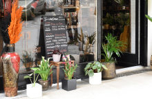 Μίμης Δαμαλάς, The Artist PJP