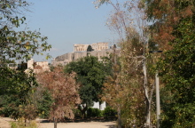 Άλσος Λογγίνου