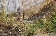 Έγκλημα στην Κατερίνη