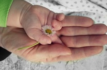 Παιδί - Αναδοχή