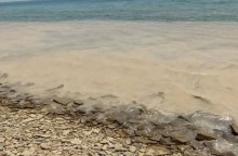 Έφτασε στη Λήμνο η θαλάσσια βλέννα του Μαρμαρά