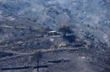 Η Ε.Ε. είναι έτοιμη να παράσχει στον λαό της Κύπρου κάθε είδους βοήθεια, δήλωσε ο πρόεδρος του Ευρωπαϊκού Συμβουλίου, ενώ υπό μερικό έλεγχο τέθηκε η πυρκαγιά