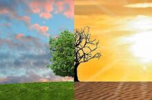 Κλιματική αλλαγή