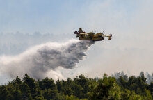 Φωτιά στην Εύβοια (ΦΩΤΟ ΑΡΧΕΙΟΥ) - Εστάλη μήνυμα από το 112 για την πυρκαγιά στα Νέα Στύρα