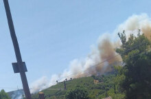 Βαρνάβας: Η φωτιά καίει δάσος, με τους πυροσβέστες να προσπαθούν να ελέγξουν την πυρκαγιά