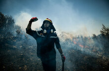 Φωτιά στον Βαρνάβα - Η αγωνία του πυροσβέστη που συνεχίζει να δίνει μάχη με τις φλόγες στο πύρινο μέτωπο στην Αττική