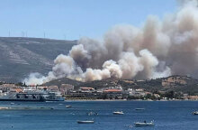 Φωτιά στα Νέα Στύρα