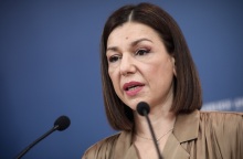 Η κυβερνητική εκπρόσωπος, Αριστοτελία Πελώνη