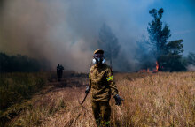 Πυροσβέστης σε αγροτοδασική πυρκαγιά (ΦΩΤΟ ΑΡΧΕΙΟΥ) - Επί ποδός η Πυροσβεστική για τη φωτιά στη Χαλκίδα