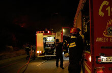 Πυροσβέστες σε δασική πυρκαγιά (ΦΩΤΟ ΑΡΧΕΙΟΥ) - Ολονύχτια η επιχείρηση κατάσβεσης σε Χαλκίδα και Αργολίδα