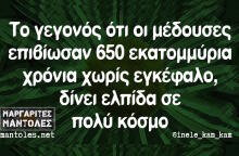 Αστεία memes, ατάκες, βίντεο, virals που ανέβηκαν στο διαδίκτυο και μας έκαναν να γελάσουμε