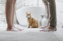 Γυναίκα και άντρας στέκονται όρθιοι με μια γάτα ανάμεσα στα πόδια τους