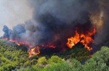 Φωτιά στην Αρχαία Ολυμπία