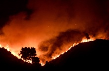 Πύρινο μέτωπο στις Αφίδνες