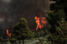 Φωτιά στην Εύβοια - Μαίνεται το πύρινο μέτωπο