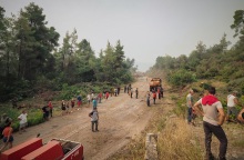 Φωτιά στην Εύβοια - Εκκενώνονται χωριά - Στους δρόμους πολίτες - εθελοντές 