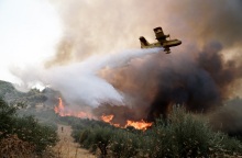 Φωτιά στην περιοχή Χελιδόνι στην Ηλεία - Δύσκολη μάχη των πυροσβεστών