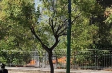 Φωτιά στο Πεδίο του Άρεως - Συνελήφθη γυναίκα για εμπρησμό